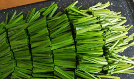 潮汕小豆苗爆料视频大全,揭秘潮汕风情与文化