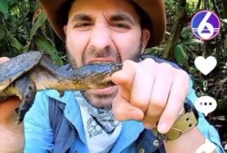 最新爆料抖音王大炮视频,热点事件背后的惊人真相