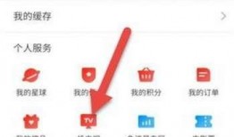 爆料视频投放平台,独家内容背后的秘密