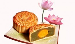 中秋月饼爆料视频大全,视频爆料大全，带你领略各式美味月饼