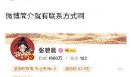 爆料娱乐圈的小说,揭秘明星背后的秘密与爱恨情仇