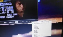 挪威回应爆料视频下载,真相与澄清并行