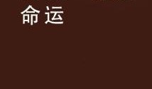 最后一班在线观看,线上见证的惊心动魄之夜