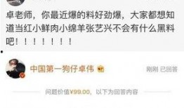 卓伟的爆料娱乐圈是谁,揭秘娱乐圈神秘人物真实身份