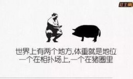 爆料牛蛙视频文案搞笑,爆笑视频幕后花絮大揭秘！