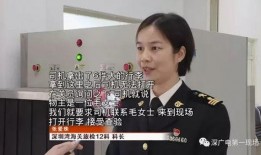 深圳海关最新爆料,跨境贸易新规与监管动态