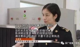 深圳海关最新爆料,跨境贸易新规与监管动态