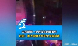 山东百姓要闻爆料视频是真的吗,真相究竟如何？