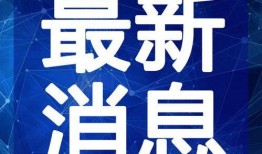 王濛爆料剧本大全最新视频,揭秘剧本大全背后的惊人真相