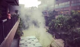 重庆温泉爆料案件最新,揭开背后惊人真相