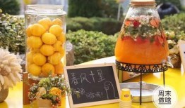 爆料水果茶自制方法视频,跟随视频教程，开启夏日清新饮品之旅