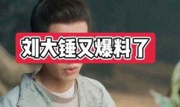 陈大锤爆料的视频,视频内容大揭秘