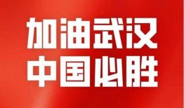 青山最新爆料事件新闻,揭秘事件背后惊人真相