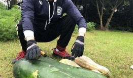 安丘大瓜爆料视频,一场引人入胜的爆料盛宴