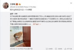 感恩哥还有哪些爆料新闻,揭秘娱乐圈不为人知的幕后故事