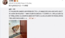 感恩哥还有哪些爆料新闻,揭秘娱乐圈不为人知的幕后故事