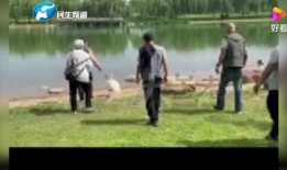 河南车友爆料事件始末视频