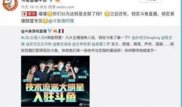 广州珠江台爆料回播视频,视频回播揭示惊人内幕