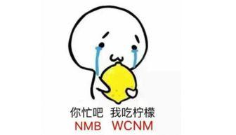 吃瓜表情的意思解释,网络社交中的幽默与讽刺